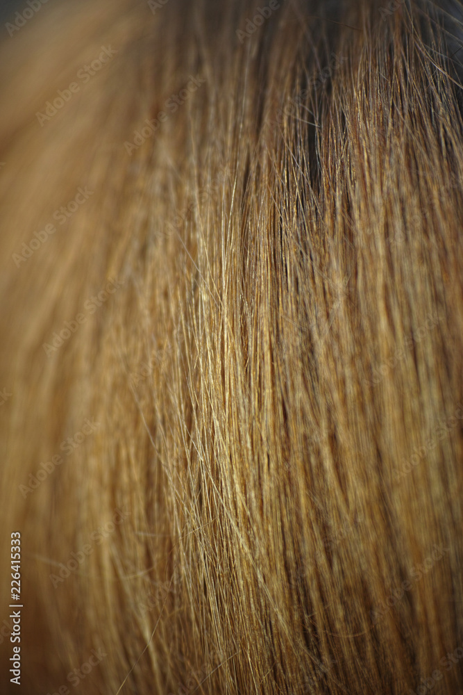 brown hair texture brown hair texture