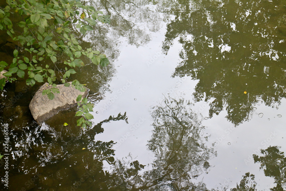 Creek Creek