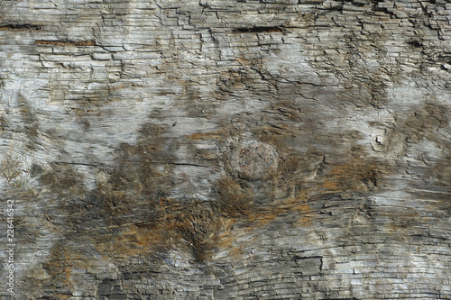 old wood texture background