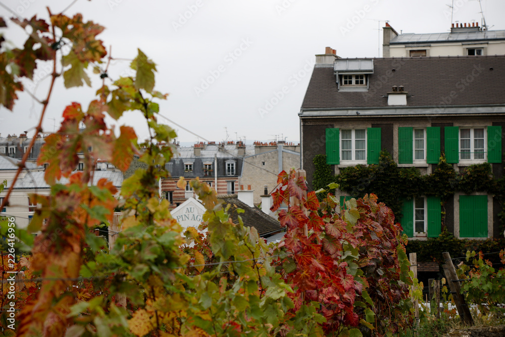 House and vineyard view in Montmartre Paris