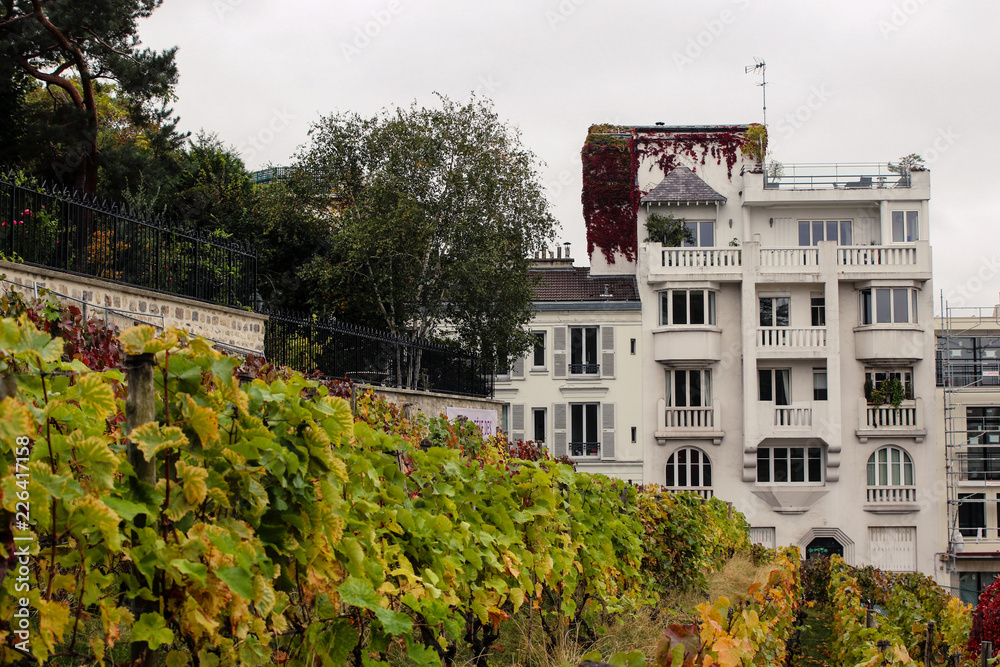 Charming building with vineyard view in Montmartre Paris