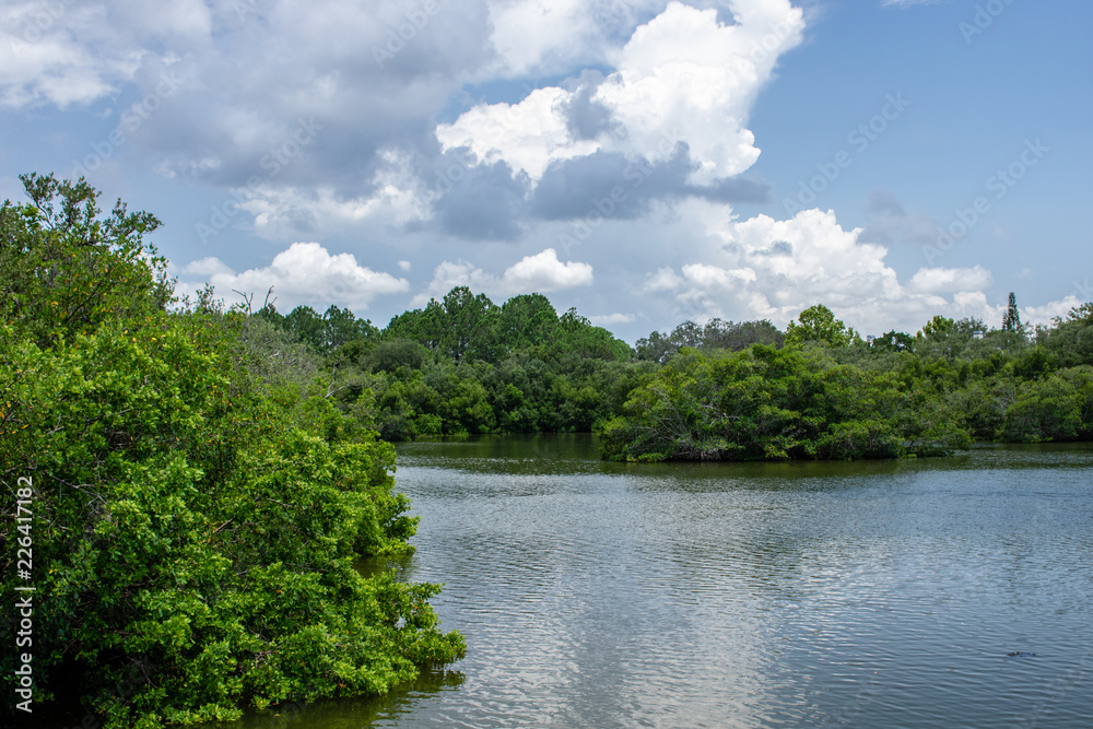 landscape with river and trees landscape with river and trees