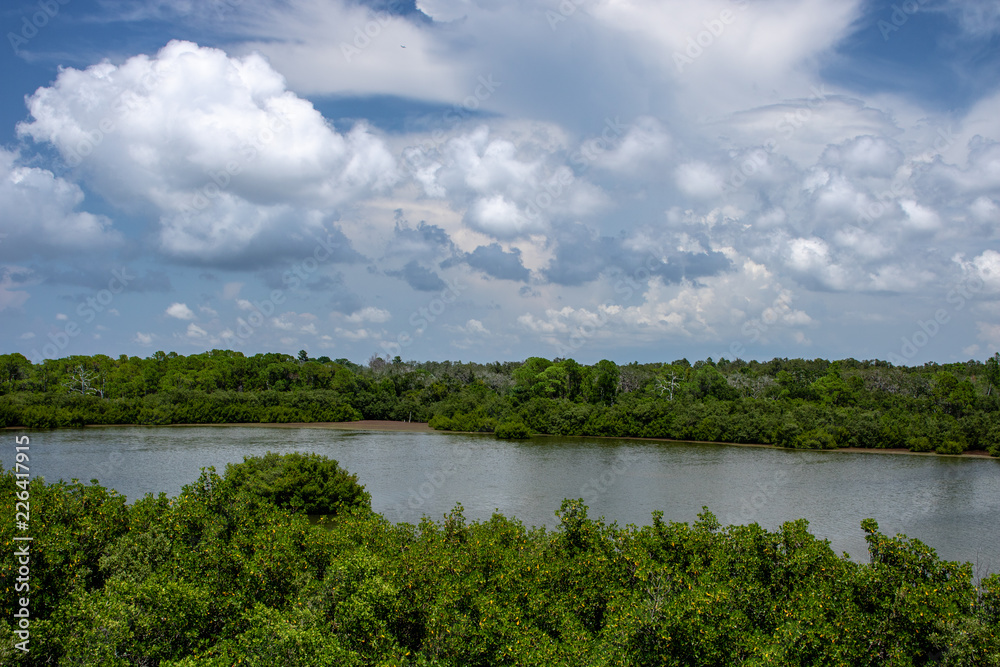 landscape with river and trees landscape with river and trees