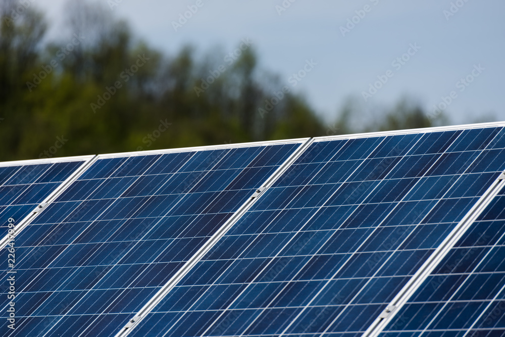 Obraz premium solar panels plant