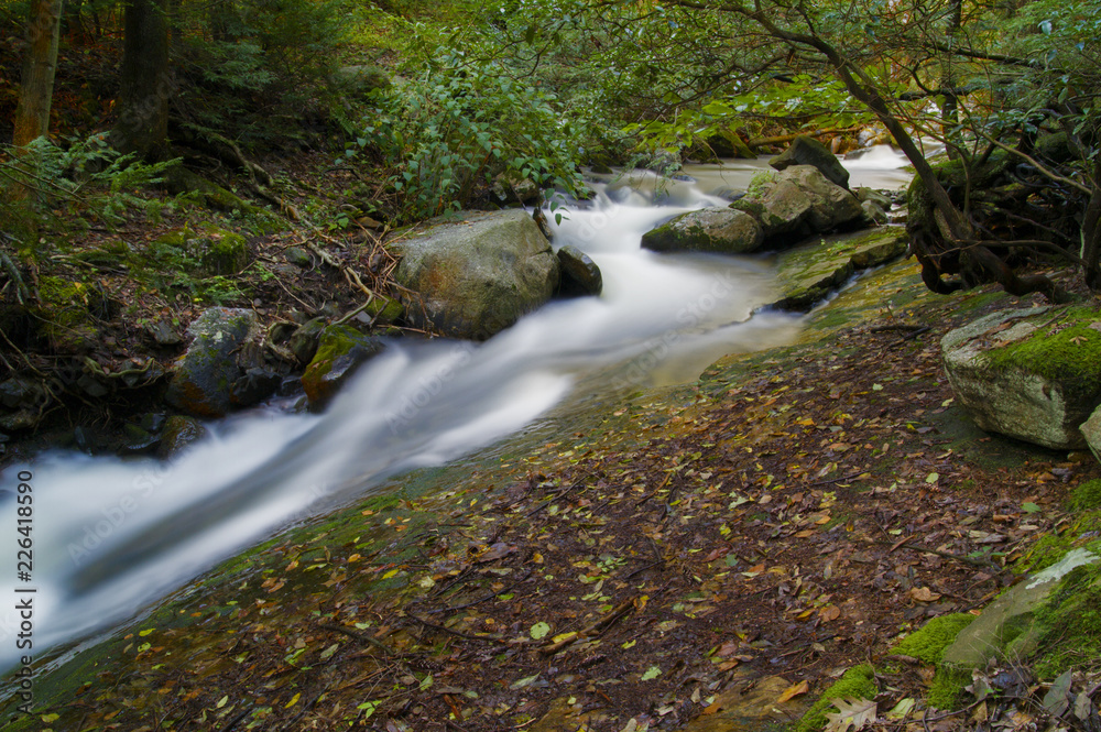 Autumn Forest Landscape Crisp Clean Mountain Stream Compliments Forest Scene