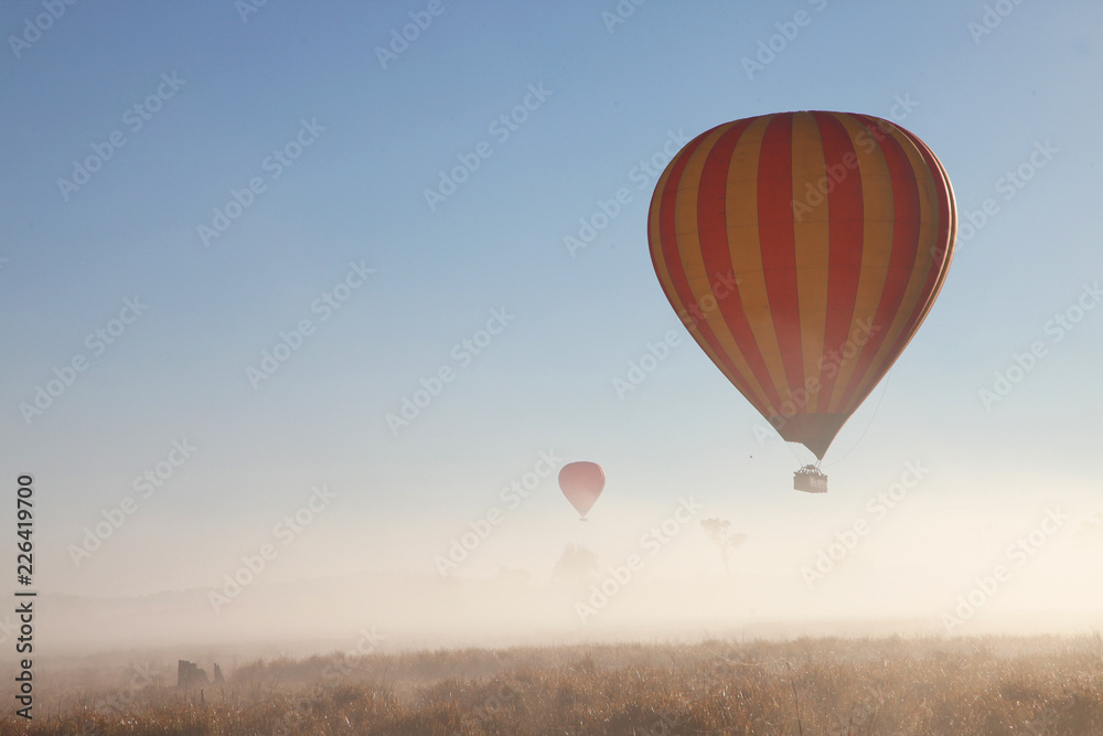 Fototapeta premium Hot Air Balloon flight over Gold Coast Hinterland, Queensland, Australia at sunrise in mid winter