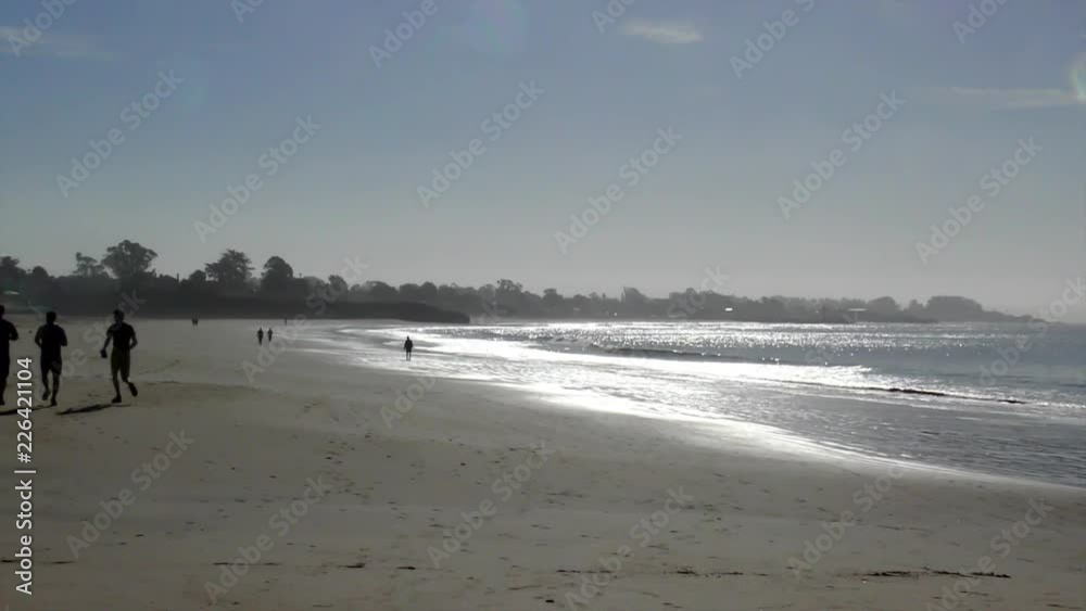 Santa Cruz, Powell Beach on the northern Monterey Bay in Santa Cruz County, California, USA, circa June 2017 Santa Cruz, Powell Beach on the northern Monterey Bay in Santa Cruz County, California, USA, circa June 2017