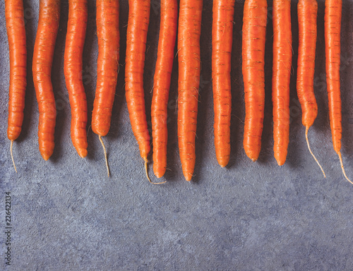 Raw fresh carrots on gray beton background.