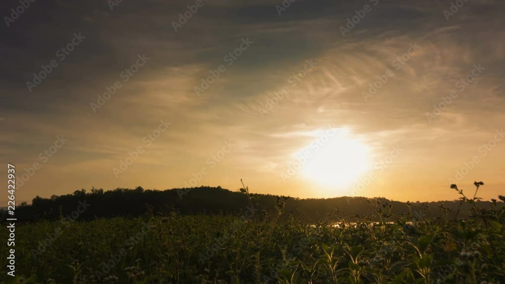 Sunny summer landscape with grass fields and green meadows.Bright light of the rising sun illuminates the plains and pastures Sunny summer landscape with grass fields and green meadows.Bright light of the rising sun illuminates the plains and pastures
