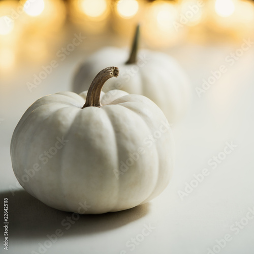 Pumpkins or white gourds. Fall or autumn festive background. Thanksgiving. Selective focus, copy space