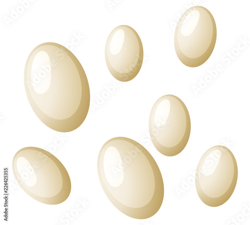 Flea eggs white background