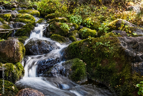 Stream running through mossy green rocks in Utah wilderness