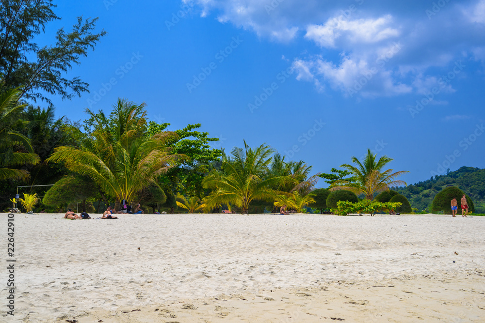 Palms and sand on Malibu Beach, Koh Phangan island, Suratthani,