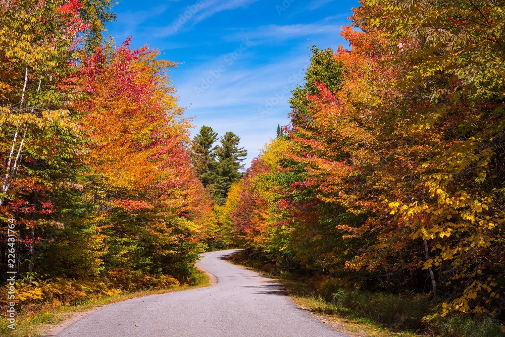 Road scene in New England with Fall color