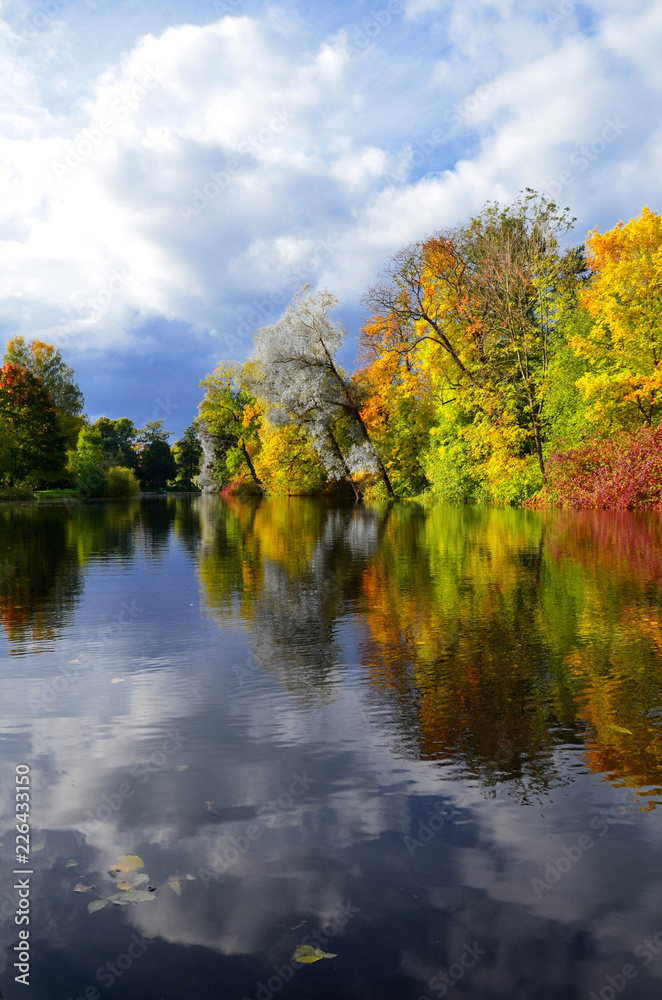 motley autumn landscape, the shore of a forest pond on a Sunny day