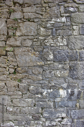 Close up view of a gray medieval castle stone wall with discoloration from lichens and moss