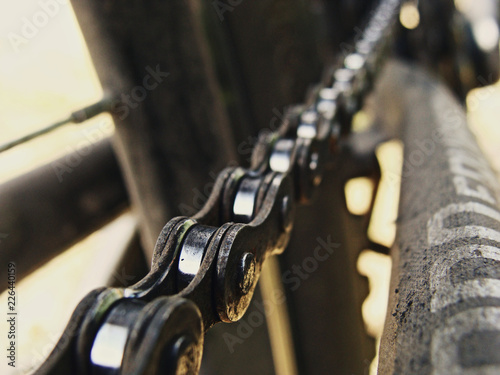 Rear wheel cassette and chain in a mountain bike. Close up detailed view.