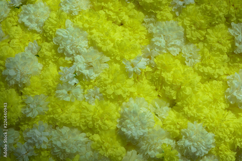 Group of yellow and white flowers background.