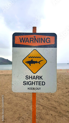 Beach warning of sharks.
