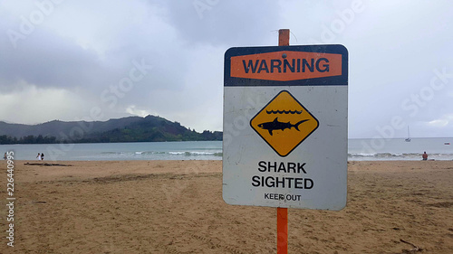 Warning sharks in water.