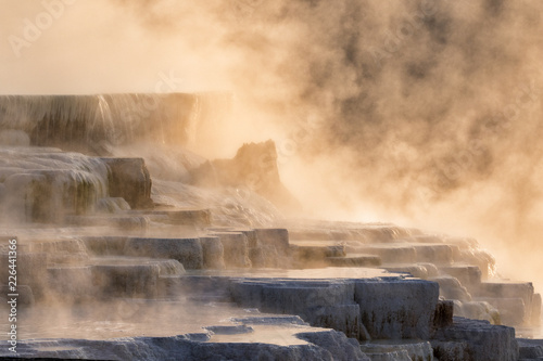Steaming Mammoth Hot Springs During Sunrise At Yellowstone National Park