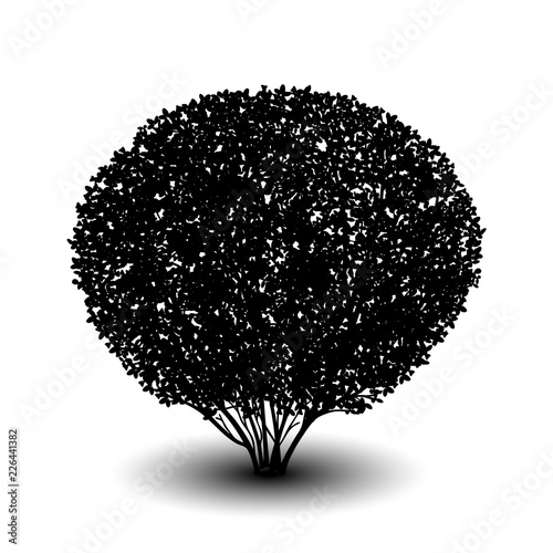 silhouette bush with leaves and shadow