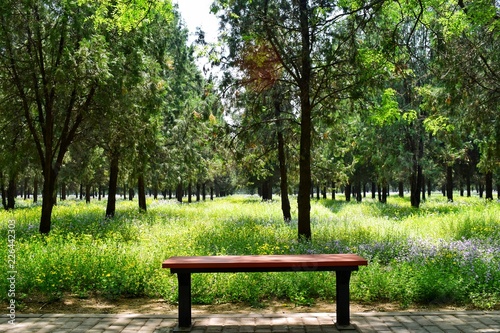 empty bench in front of Temple of Heaven s garden  Beijing  China