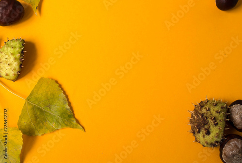 Cuadro en lienzo a orange paper background with leaves and chestnuts autumn style