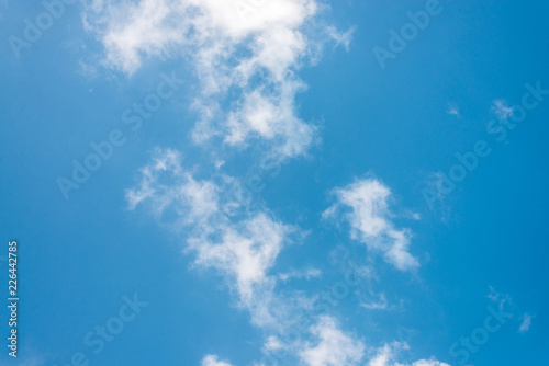 Summer and beautiful  in the blue sky with clouds.