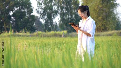 Scientist in the rice field