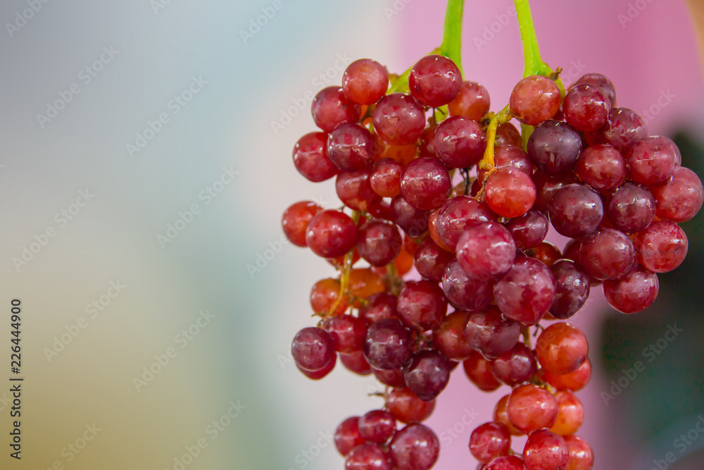 Red grapes on a blurred background