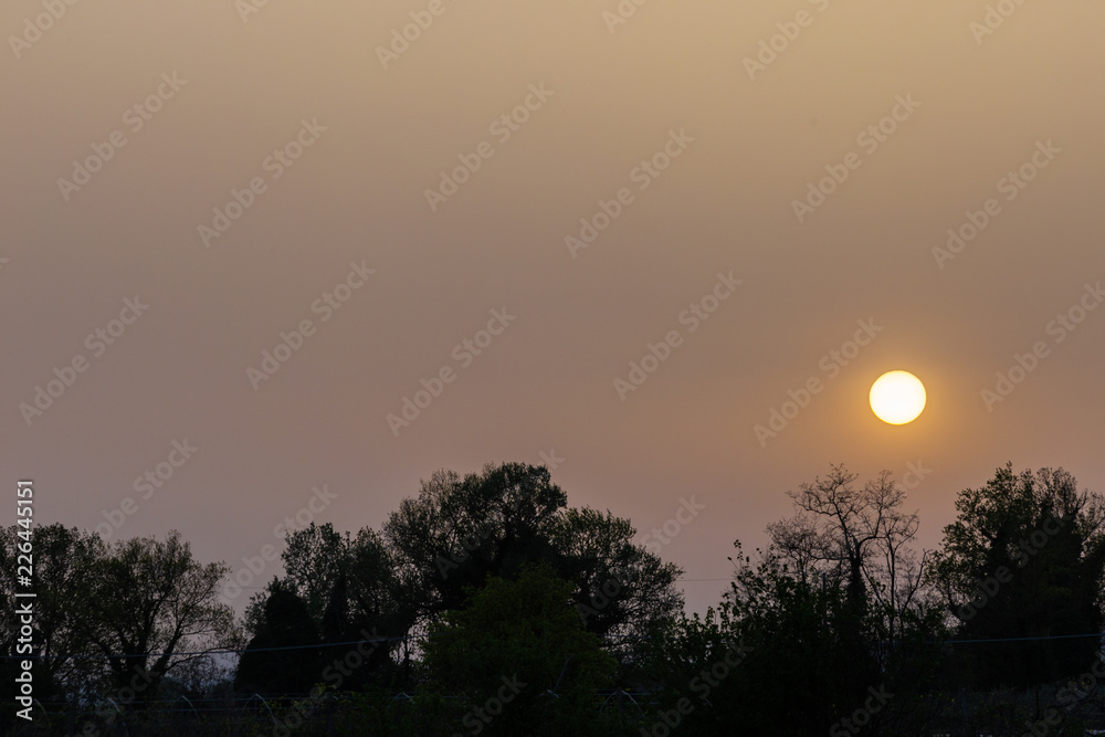 Sunset with sand suspended in the atmosphere, coluring the sky red, over some trees silhouettes and power lines Sunset with sand suspended in the atmosphere, coluring the sky red, over some trees silhouettes and power lines