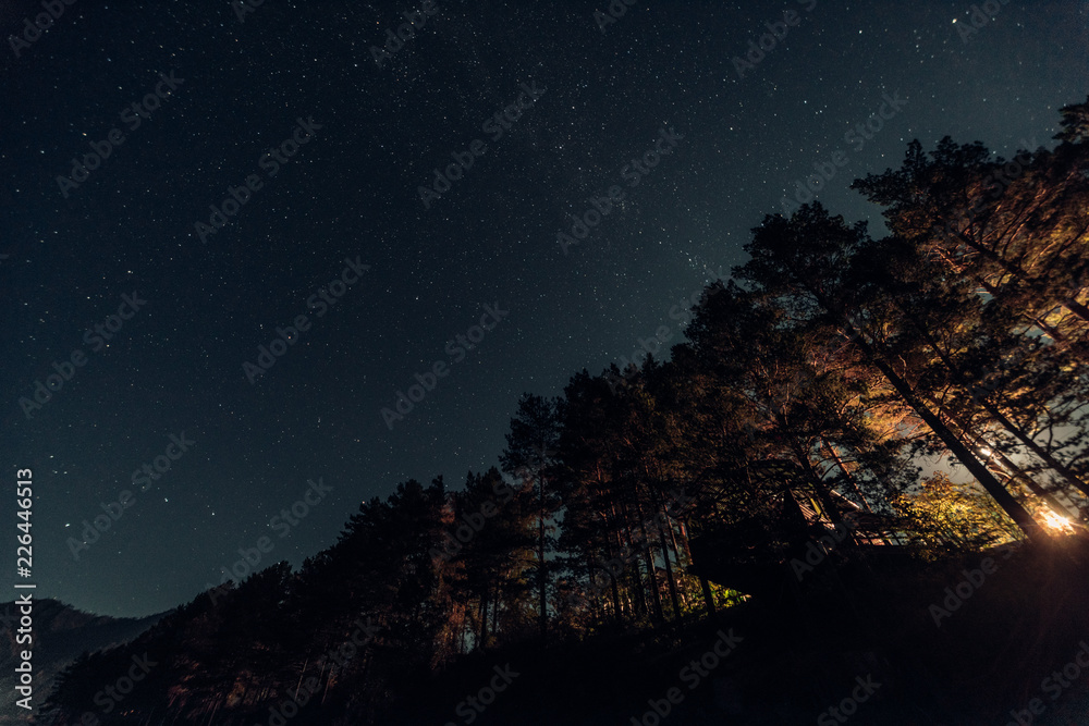 Naklejka premium ALtay - Chemal. (Алтай - Чемал)