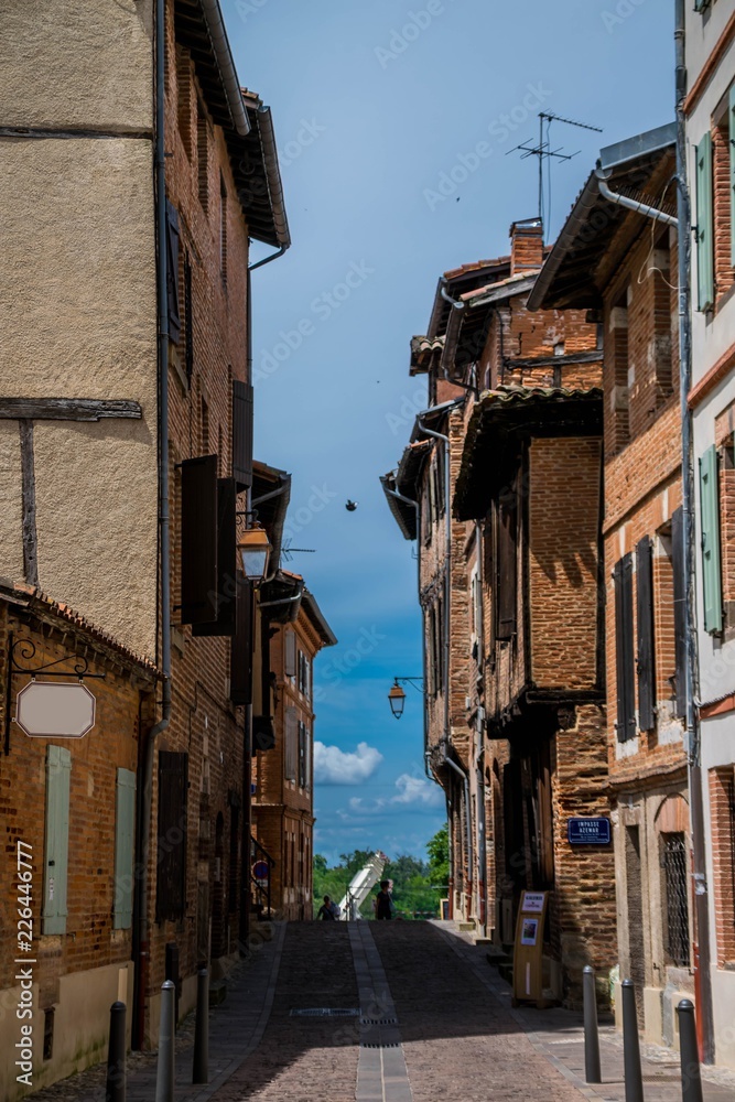Fototapeta premium Albi, Tarn, Occitanie, France.