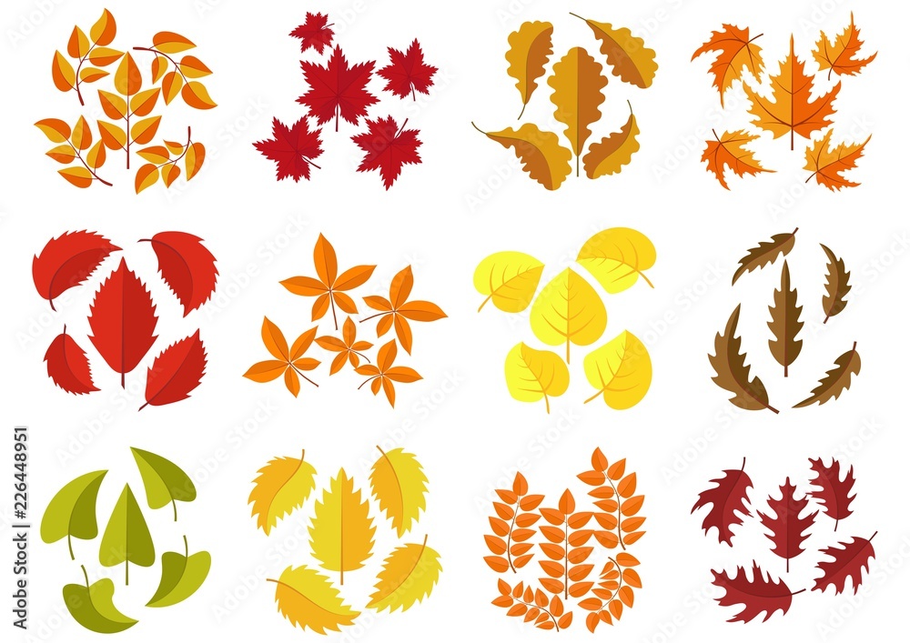 Set of colorful autumn leaves isolated on white background. Green, red and orange fallen autumn leaves collection in flat style. Vector illustration