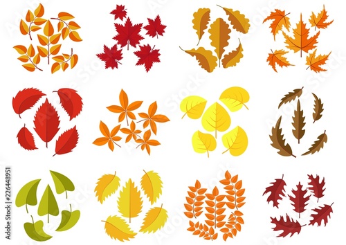 Set of colorful autumn leaves isolated on white background. Green, red and orange fallen autumn leaves collection in flat style. Vector illustration