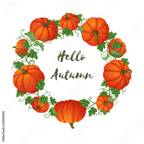 Hello autumn circular frame with orange pumpkins different shape and size with vines and leaves.