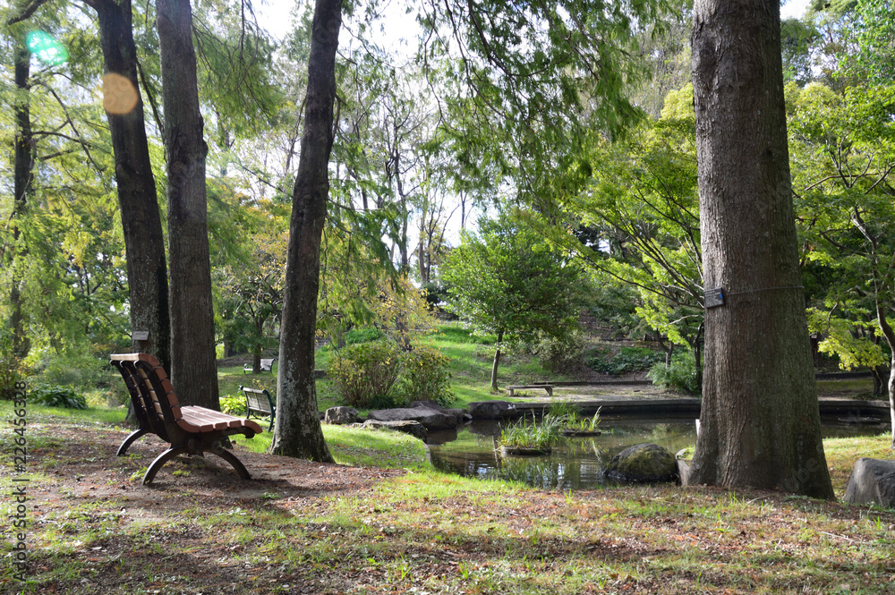 池の周りに大きな木々とベンチがある公園の風景