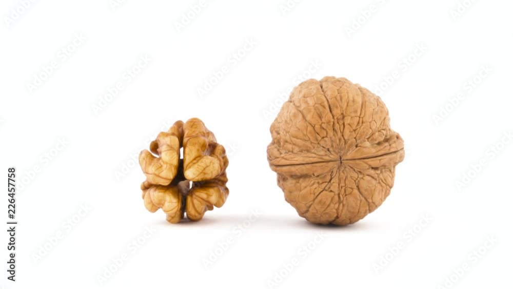 One raw walnut without the shell and one hazelnut in the shell. Rotating on the turntable isolated on the white background. Close up. Macro. One raw walnut without the shell and one hazelnut in the shell. Rotating on the turntable isolated on the white background. Close up. Macro.