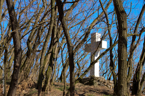 Kreuz im Wald, cross in the tree photo