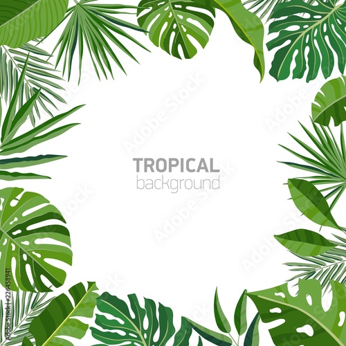 Square backdrop or background with frame or border made of green luxuriant tropical foliage or exotic leaves of rainforest plants and place for text. Summer colorful realistic vector illustration.