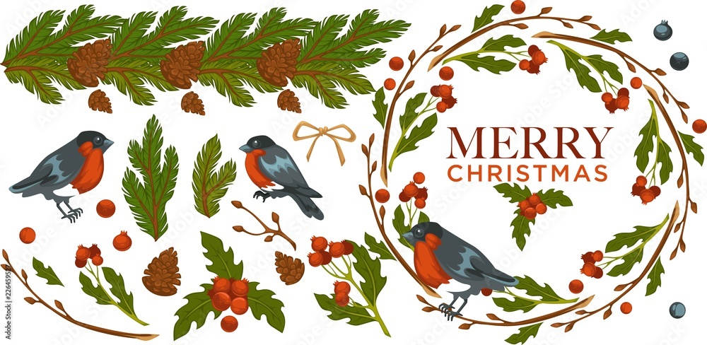 Merry Christmas, bullfinch birds with mistletoe with berries vector Merry Christmas, bullfinch birds with mistletoe with berries vector
