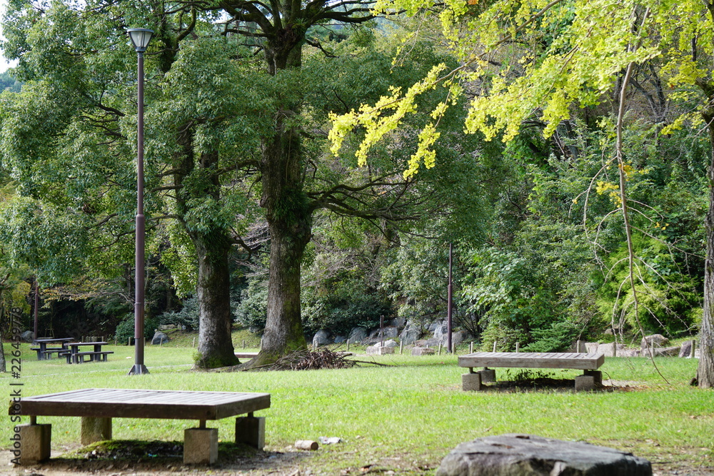 秋めいた公園 秋めいた公園