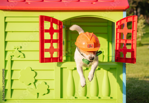 Fotografi Dog with hammer and hardhat as funny repairman in hurry to help