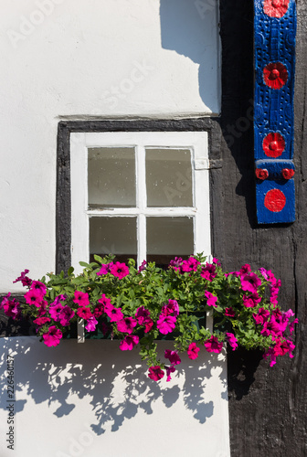 Pink flowers at a window in Tecklenburg, Germany