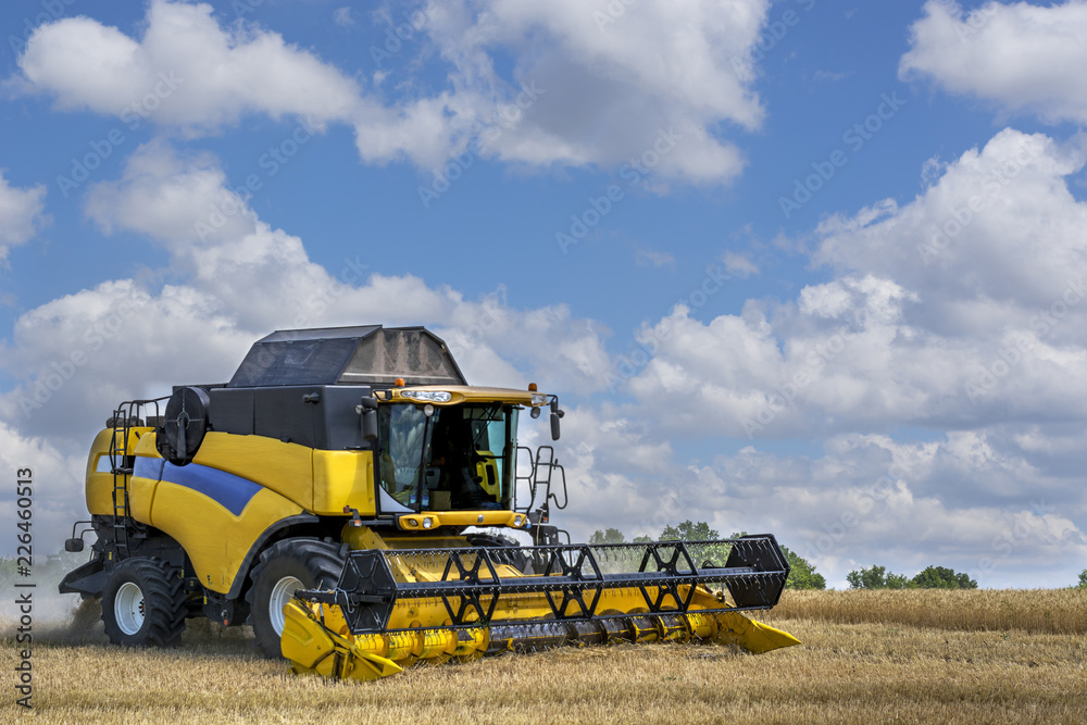 Obraz premium combine-harvester in the field to gather the harvest of grain crops, rye, wheat