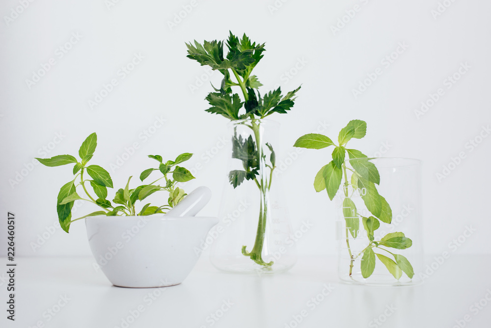 Organic botany and laboratory glassware Organic botany and laboratory glassware