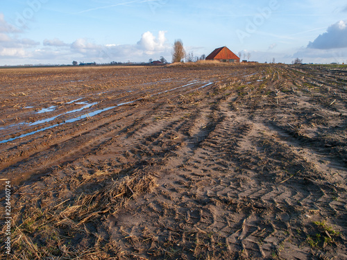 Holland Platteland photo