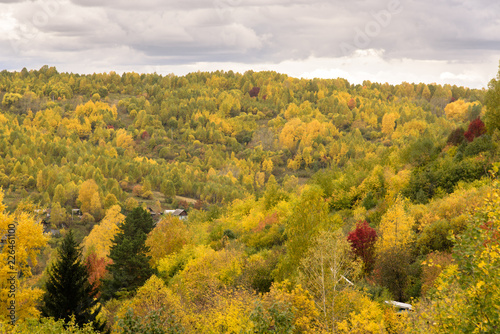 Autumn landscape, autumn forest.