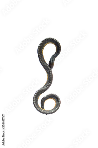 Close-up Snake stuffed animal isolated on white background, top view